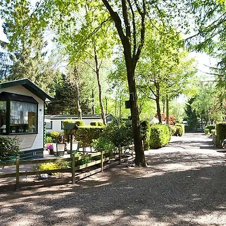 Resort Ge Deluxe 5 Personen Lunteren